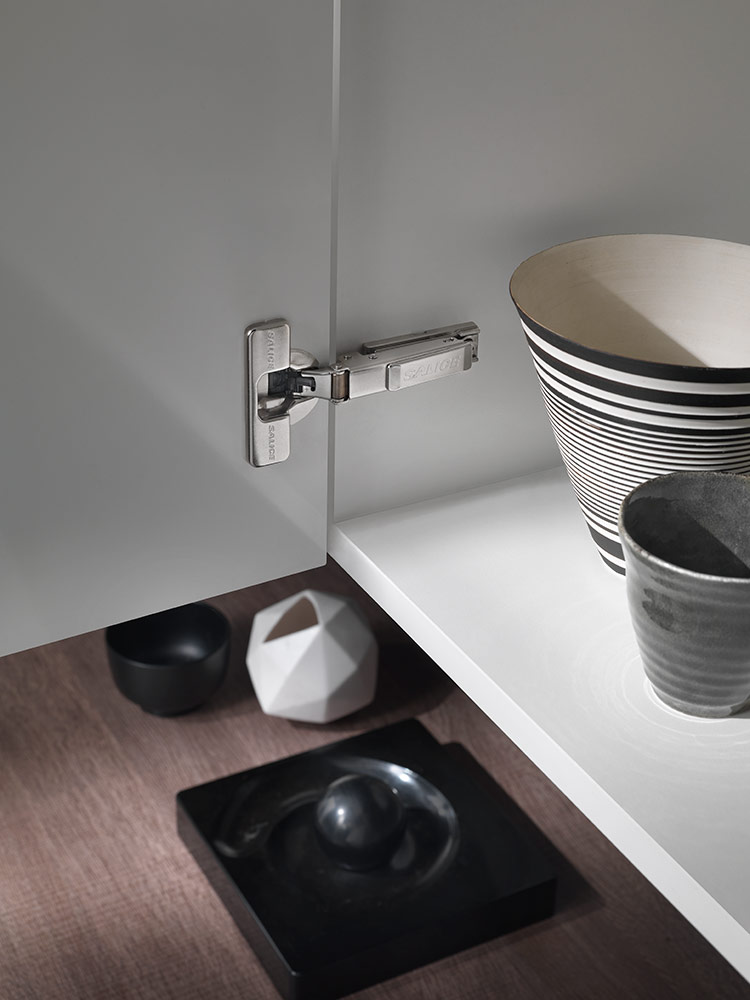 1000_z_hinges-soft-close-silentia-plus-IMG-V-02 - Salice soft-close hinges
in the living room