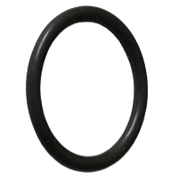 O-Ring AAA BobCat CA Technologies 98-5125