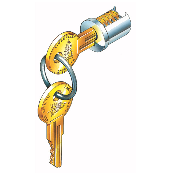 CompX Timberline LP-100-100TA Timberline Lock Accessories, Lock Plug, Keyed #100TA &amp; Master Keyed, Bright Nickel