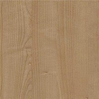 Arauco WF122 Silken Maple Melamine Panels