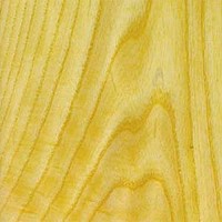 13/16" Wide White Ash Pre-Glued Wood Edgebanding 250 ' Roll Edgemate 13/16 ALDER-PG