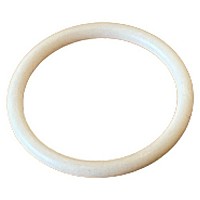 Teflon O Ring CA Technologies 98-8017