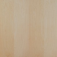 1" Thick Rotary Cut Birch Domestic Plywood AW/1W Grade, Veneer Core FSC 48" x 96"