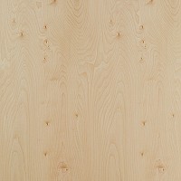 16mm Grade CW/2 Prefinished 2 sides Rotary Cut 48" x 96" Veneer Core Plywood Panel