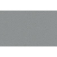 PVC Edgebanding Steel Gloss 15/16" X .018" 300' Roll Teknaform PG2531