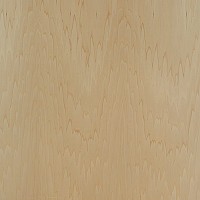 3/4" Thick Rotary Cut Poplar Domestic Plywood, Veneer Core 48" x 96", Columbia Forest Products