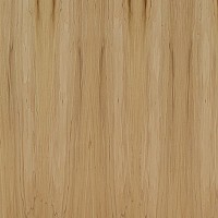 3/4" Thick Poplar Domestic Plywood BB/BB Grade, Veneer Core 48" x 96", Columbia Forest Products