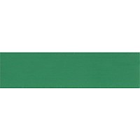 Teknaform 15/16" Width x 0.018" Thick SX4753 Green PVC Edgebanding, 600' Roll