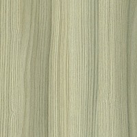 PVC Edgebanding Sarek Ash-Velvet 15/16" X 1mm 300' Roll Teknaform WX3911-5